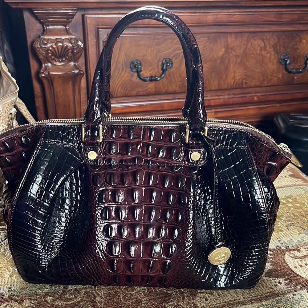Brahmin small Faye